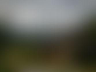 三重県で叶える田舎暮らしと古民家改修の落とし穴