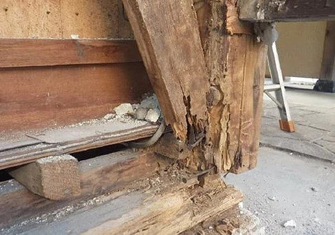 シロアリ被害