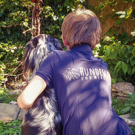 Gib deinem Hund die Wahl – Warum Entscheidungsfreiheit so wichtig ist