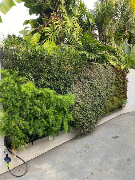 Especialistas em Jardins Verticais de alto padrão