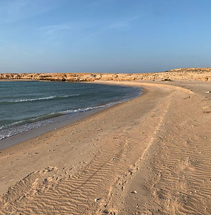 Beach-2.jpeg