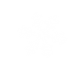FloconBP_edited.png