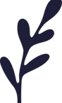 plantes2.png