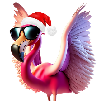 FlamantNoël.png