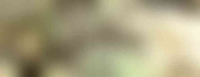 Freda Lee-McCann - In Celebration of Spring