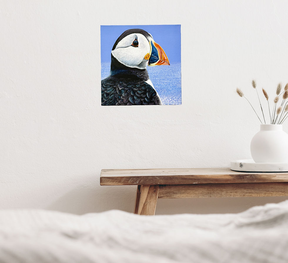 Thumbnail: Puffin's Gaze