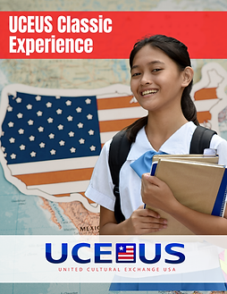 Website Experiences Covers (1).png