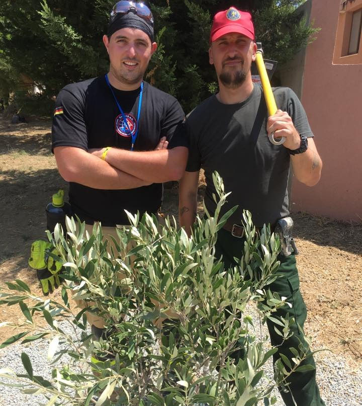 Planting of Olive Tree