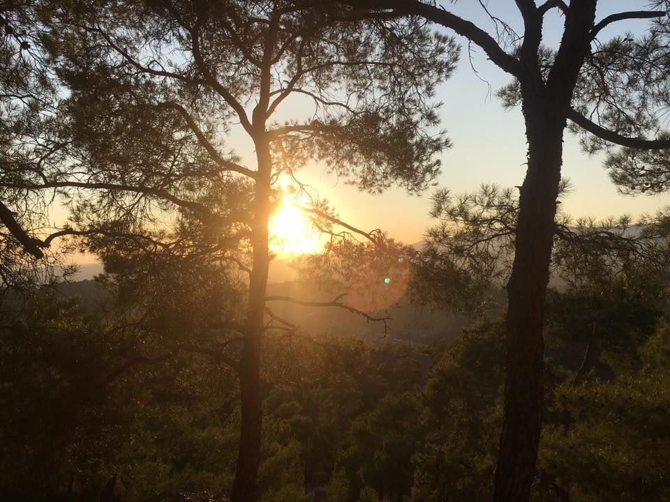 Sunset in Kakomallis Forest