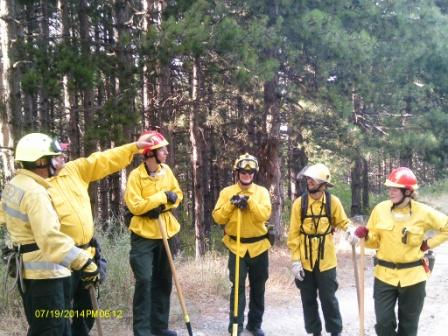 Forest Team training
