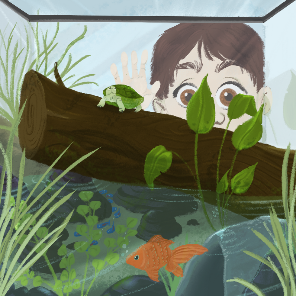 PleinAirFinalFINAL
