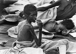 Screenshot 2025-06-24 at 5.56_edited.jpg