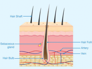 How to care for your Scalp