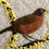 Thumbnail: Robin and Forsythia: In the Garden Series (Digital copy)