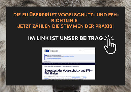 Forderung nach einem integrierten alpinen Biodiversitätsmanagement – warum die FFH-Richtlinie bei Großraubtieren stärker differenzieren muss: