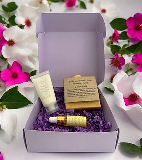 box-Photoroom (1).jpg