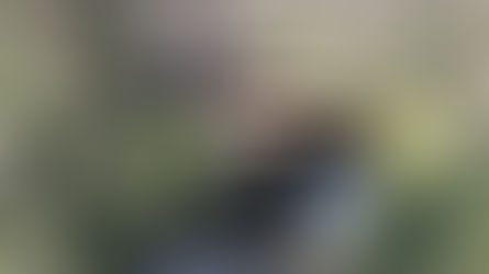 Frank Lloyd Wright's Fallingwater