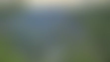 The Valley of the PA Grand Canyon