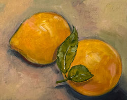 2 LEMONS FOR WIX