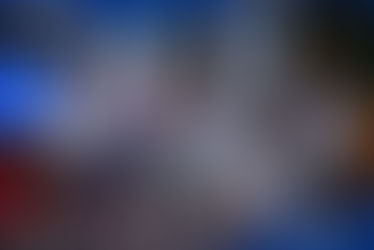 🦈 Lemon Shark Final Table - Blog Live