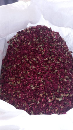 Red Rose