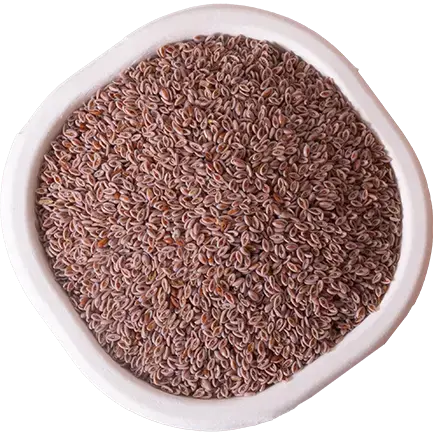 Psyllium Seed