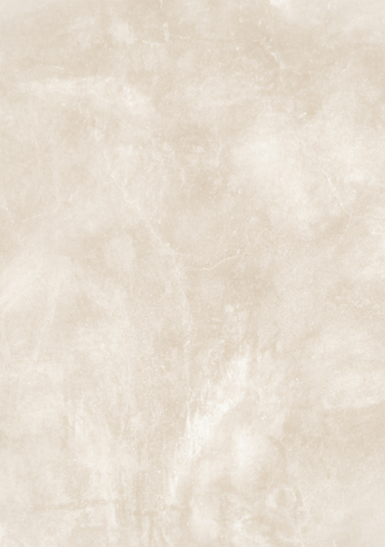 01 Catalogo - sfondo2.png