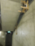 appropriate[d] (detail)