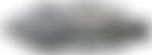 112mm Nissei Flow Valve Assembly