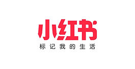 The Dynamic World of Chinese Social Media: A Glimpse into WeChat, Redbook, TikTok, and Weibo