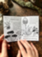 Thumbnail: Observe & Interact | Physical Mini Zine