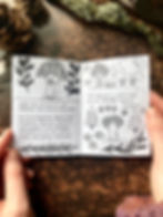 Thumbnail: Observe & Interact | Physical Mini Zine