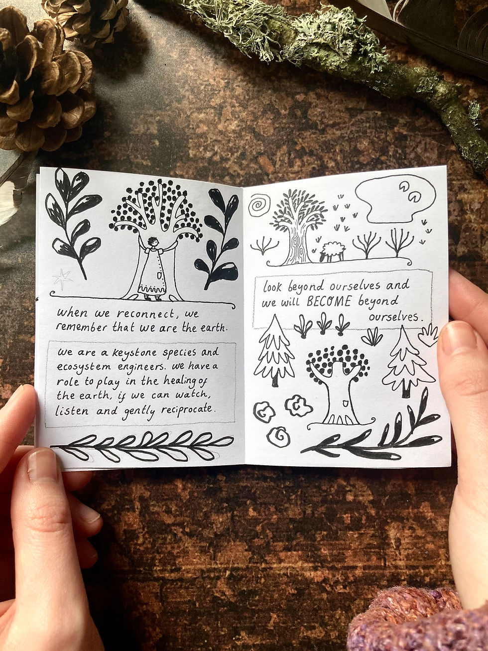Thumbnail: Observe & Interact Printable Zine