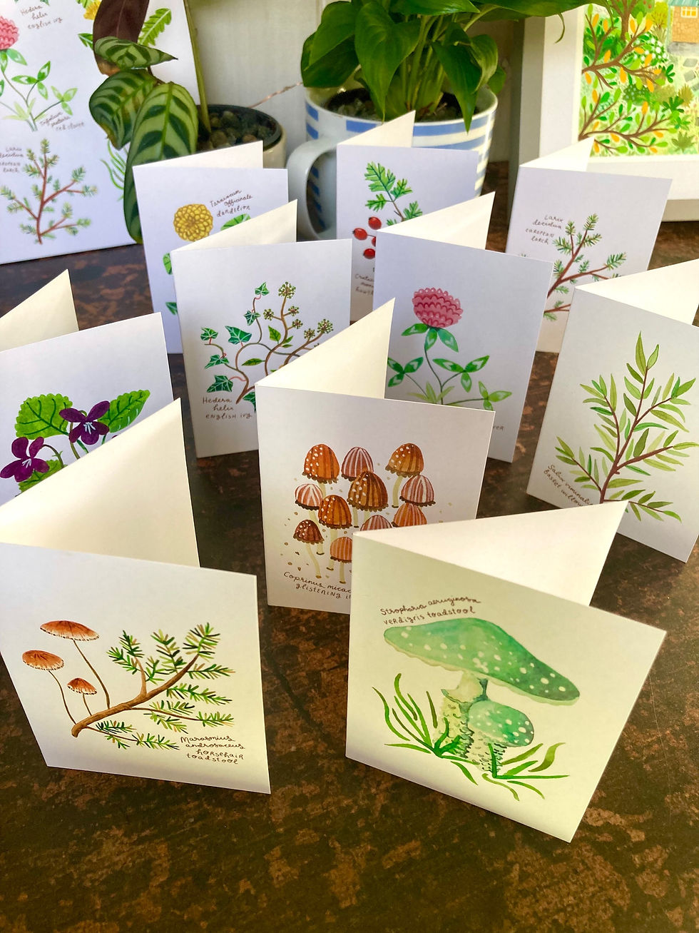 Thumbnail: Set of Botanical Notecards