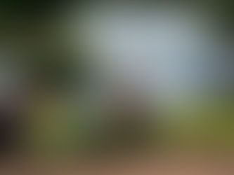 EUA apoia à suspensão de patentes de vacinas contra a Covid-19, Bolsonaro é contra, entenda: