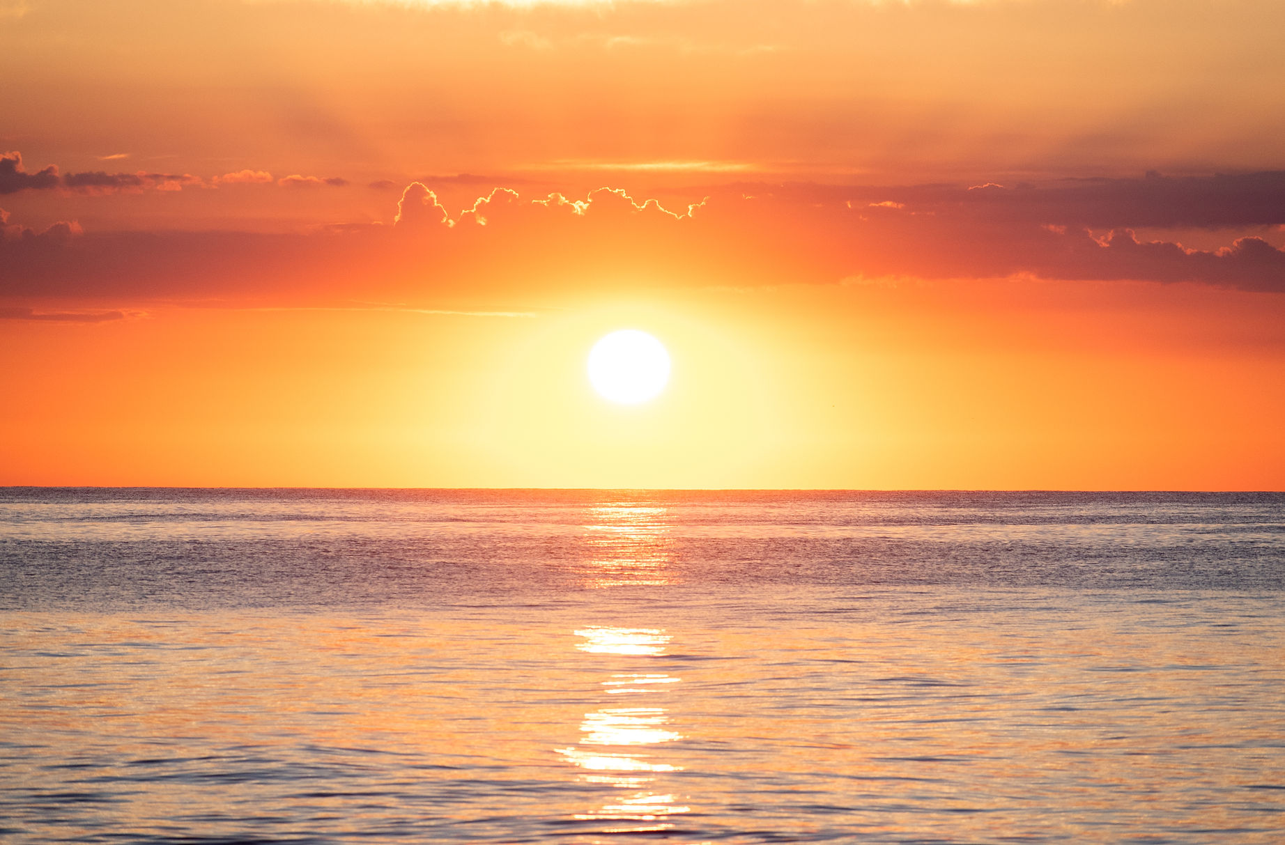 Sunrise OC Favorites-18.jpg