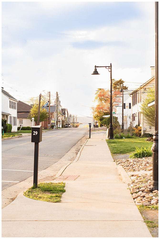 Quarantine Files Downtown Lovettsville, VA