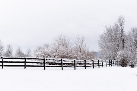Snowy Day-3.jpg