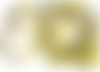 Aberta as inscrições para os 50 anos do movimento CJC