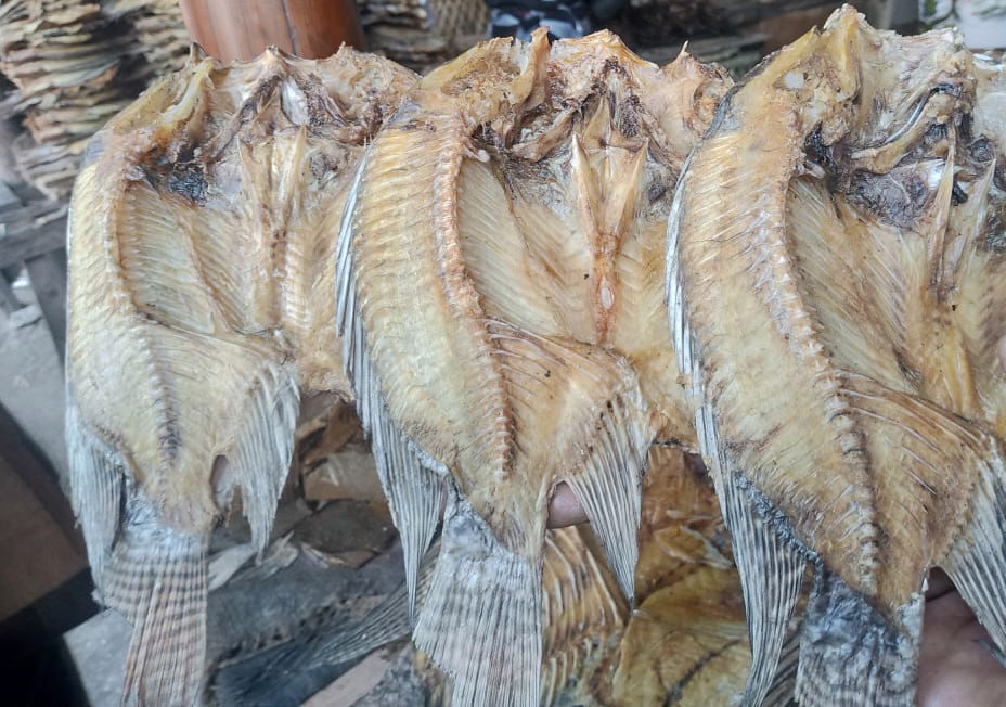 Thumbnail: Luangwa Bream