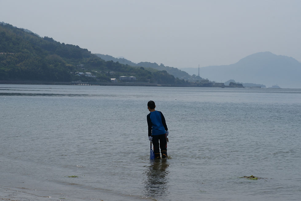 何を探しているのかな?