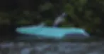 ree