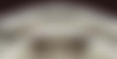 2019 Key West 239 DFS