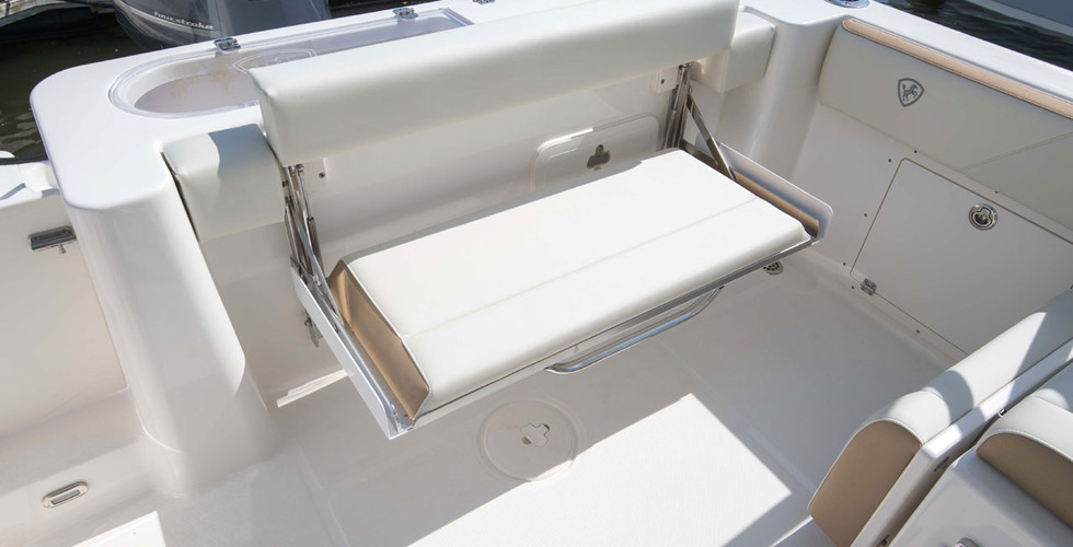 2024 Century Resorter