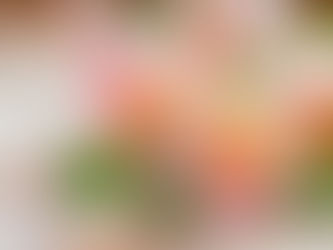 Mocktails hormonales: disfruta sin consecuencias