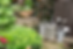Garden tools, watering cans and terracotta