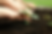 Untitled design (3).png