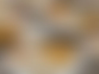 La Contraloría advierte un desfinanciamiento de 1,3 billones en el PAE