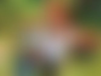 La Sierra se prepara para la ‘Batalla’: dirigentes de Minca apoyan a Margarita