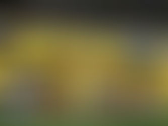 Este sería el primer convocado por la selección Colombia para los amistosos ante México y Canadá.